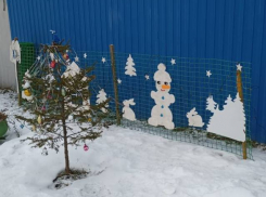 Удивительную новогоднюю красоту создает инвалид в Воронежской области 