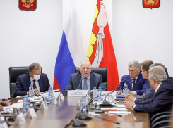 Депутаты облдумы выступили в роли молчаливых «манекенов» в Воронеже 