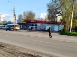 Эксцентричную прогулку пешехода сняли на воронежском Машмете  