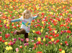 Воронежцев на майские праздники ожидают длинные выходные