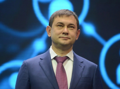 О золотых яйцах воронежского бизнеса рассказал спикер облДумы Нетесов