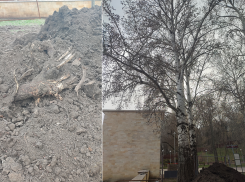 Как строительство многострадальных ЛОС уничтожает символ Центрального парка