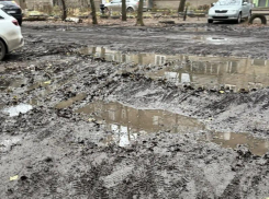 «Грязевое царство» заметили в воронежском дворе