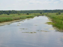 Воронежские чиновники нашли того, кто начертит им границы водоохранных зон за 3 млн рублей