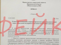 Просроченные подарки ветеранам ко Дню Победы оказались фейком в Воронеже