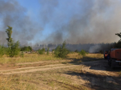 Воронежские спасатели объявили высокий уровень пожарной опасности