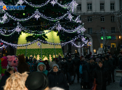 Что портит воронежцам новогоднее настроение  