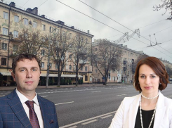 Можно ли спасти каштановую аллею на Плехановской и кто за это отвечает