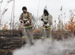 Потушен последний крупный пожар: как сгорала Воронежская область