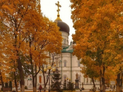 Самое красивое осеннее место сфотографировали в Воронеже