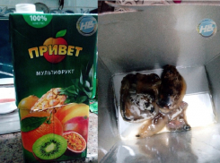 Жительница Воронежа пришла в шок от сока с черными букашками