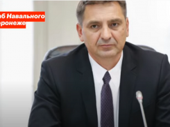 Штаб Навального замахнулся на бывшего «серого кардинала» воронежского правительства