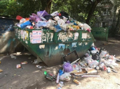 Управляющие компании назвали самые грязные районы Воронежа, а сами остались чистенькими