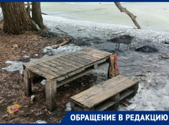 Сезон шашлыков и грязной природы открыли воронежцы