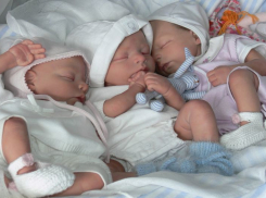 В 2016 году в Воронежской области родилась 101 двойня и 1 тройня