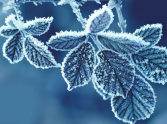 В ночь на Пасху по Воронежу ударят морозы