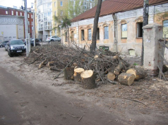 Музей Петра I решили создать в обновленном Доме Гарденина в Воронеже