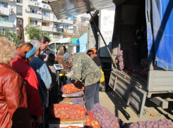 Купить подешевле овощи, фрукты, рыбу и мясо воронежцы смогут 11 апреля