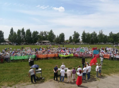 Две тысячи человек выступили против свиноцида в Воронежской области