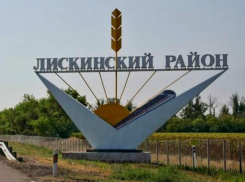 Девочка без ануса живет в Воронежской области