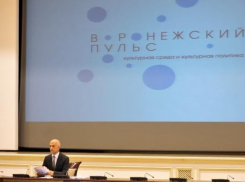 «Пульс» дошел до воронежского правительства
