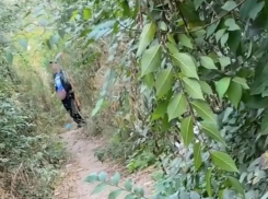 Онаниста с добром наперевес сфотографировали в Воронеже 