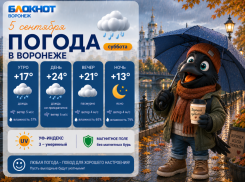 Кап-кап: прогноз погоды в Воронеже