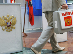 75 процентов жителей микрорайона в Воронежской области заявили о желании голосовать на дому