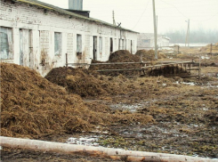 В Воронежской области сельхозпредприятие обязали не засорять природу