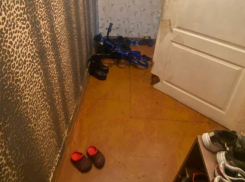 Сестру с братом оставили в СИЗО за убийство детей в воронежском селе 