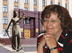 Резонансное дело «Маслова против правительства Гусева» переходит Фемиде областного суда