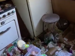 Тошнотворное состояние квартиры после арендаторов шокировало жительницу Воронежа