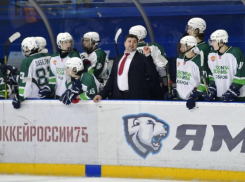 Новая причина для хоккейной гордости появилась в Воронежской области 