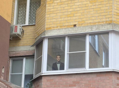 Турецкого красавчика заметили на балконе в Воронеже