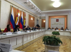К 2020 году состав Воронежской облДумы должен поменяться наполовину