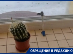 Адские условия труда создали для предпринимателей в Воронежской области 