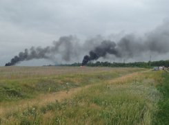 Полиция задержала 25 нападавших на базу геологов на месторождении никеля в Воронежской области