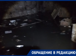 Затопило весь подвал: мощный фонтан из канализации сняли на видео в Воронеже