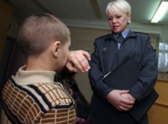 В Воронежской области два подростка хотели обокрасть дом