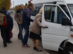 Тысяче студентам власти доверили следить за маршрутками Воронежа
