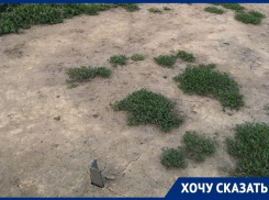 Торчащая из земли арматура портит главную достопримечательность в Воронеже 