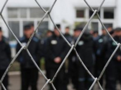 В Воронежской области освободили от наказания 118 человек