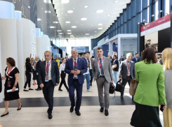 О планах работы на полях ПМЭФ рассказал воронежский губернатор Александр Гусев