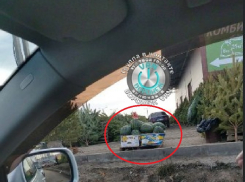 Торговлю арбузами заметили на елочном базаре в Воронеже