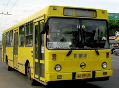 В Воронеже запустят 5 новых автобусных маршрутов в аэропорт