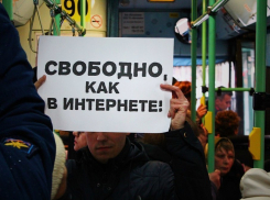 В Воронеже активисты движения «Весна» сравнили российский Интернет с местными маршрутками