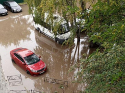 Новое воронежское море оперативно отработали в РВК 