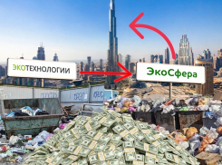 Воронежцы платят за мусор ЭкоТехнологиям, они - Экосфере, а дальше деньги по цепочке уходят в Дубай