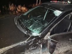 Уголовное дело возбудили после гибели 13-летнего мальчика в ДТП в Воронежской области