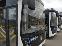 Воронеж прописался на дне рейтинга качества общественного транспорта